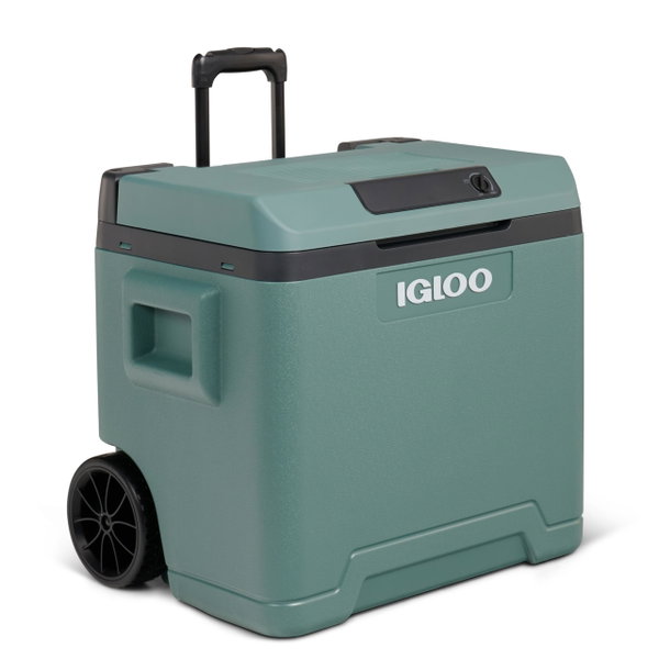 Lodówka elektryczna IGLOO IE42 42L 12V 230V energooszczędna mobilna