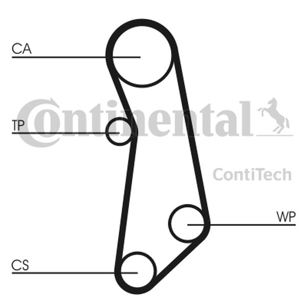 CONTITECH ZESTAW ROZRZĄDU FIAT 1,2-1,4B