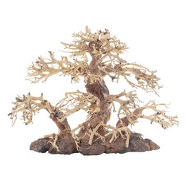 PROGROW BONSAI TREE BT2M 30X15X23CM