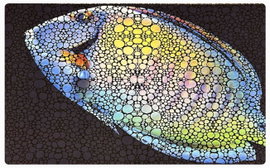 FLIPPER AQUARIUM MAT TANG 75X45CM