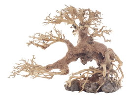 PROGROW BONSAI TREE BT5S 25X10X20CM