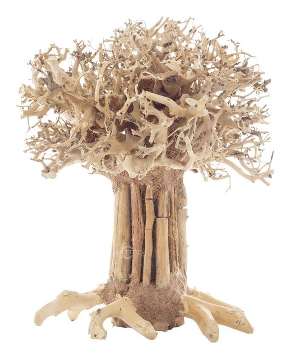 PROGROW BONSAI TREE BT7M 20X15X25CM