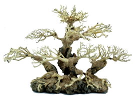 PROGROW BONSAI TREE BT3L 40X15X30CM