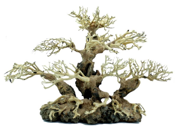 PROGROW BONSAI TREE BT3L 40X15X30CM