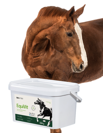 Lab-v EquiVit Mieszanka Paszowa Dietetyczna dla Koni i Kucyków 2kg