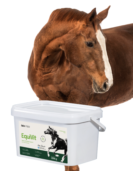 Lab-v EquiVit Mieszanka Paszowa Dietetyczna dla Koni i Kucyków 2kg