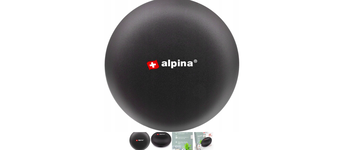 Sterownik Alpina Smart Home WiFi