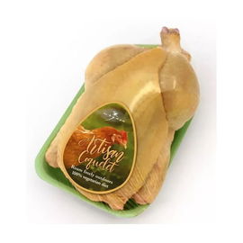 Żółty mini kogucik Hiszpania 300/400 gr