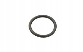 ORING DUCATO JUMPER BOXER 06- POMPY WODY 2.2 HDI