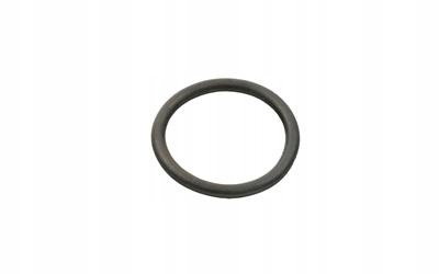 ORING DUCATO JUMPER BOXER 06- POMPY WODY 2.2 HDI