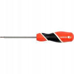 WKRETAK TORX SECURITY T10X100MM
