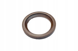 USZCZELKA WTRYSKIWACZA FIAT LINEA 55205036