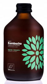 Kombucha Z Ogórkiem I Kolendrą Bio 330 Ml