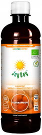 Koncentrat Napoju Probiotycznego Topinambur Bezglutenowy Bio 500 Ml - Joy D