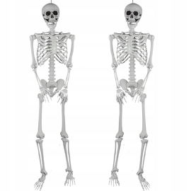 szkielet z tworzywa sztucznego na Halloween realistyczne ludzkie szkielety