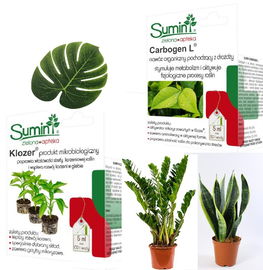 Klozer Carbogen L skutecznie ZWALCZA szkodniki na kwiatach ZIEMIÓRKI 2x5ml