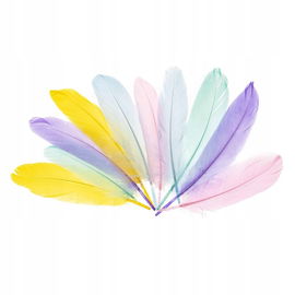 PIÓRKA GĘSIE OZDOBNE 15-20cm PASTELOWE PI1 BREWIS