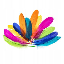 PIÓRKA GĘSIE OZDOBNE 15-20cm NEONOWY PI6 BREWIS