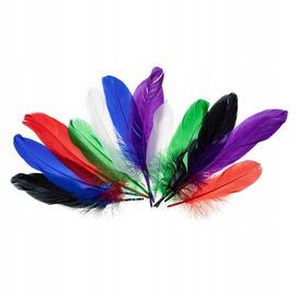 PIÓRKA GĘSIE OZDOBNE 15-20cm JASKRAWY PI5 BREWIS