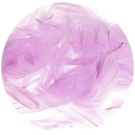 Piórka różowe op. 7 g. P7-15, Brewis