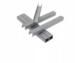 ZSZYWKI 10 MINI /20/ N/N