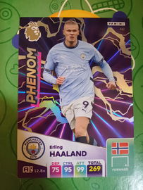 Panini Premier League 2024 2025 Erling Haaland Phenom Trading Card