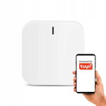 MultiBramka Mini Centralka Do Kontaktu 230V Alarm BT ZigBee WiFi TUYA Smart