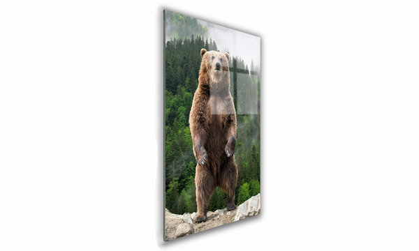 OBRAZ NA SZKLE PROSTOKĄTNY 40x60cm 142 Stojący niedźwiedź