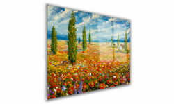 OBRAZ NA SZKLE PROSTOKĄTNY 100x70cm 084 Pole maków