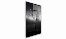 OBRAZ NA SZKLE PROSTOKĄTNY 70x100cm 024 Drzewo