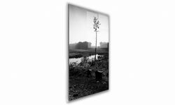 OBRAZ NA SZKLE PROSTOKĄTNY 70x100cm 093 Sosna