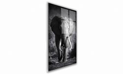 OBRAZ NA SZKLE PROSTOKĄTNY 70x100cm 120 Słoń