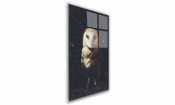 OBRAZ NA SZKLE PROSTOKĄTNY 70x100cm 139 Sowa