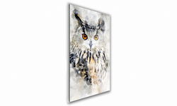 OBRAZ NA SZKLE PROSTOKĄTNY 70x100cm 140 Sowa akwarelowa