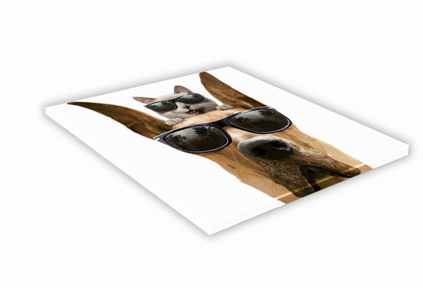 SZKLANA DESKA KUCHENNA 25x25 463e Doberman i kot
