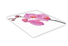 SZKLANA DESKA KUCHENNA 40x40 434h Różowa orchidea