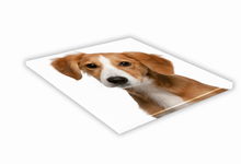 SZKLANA DESKA KUCHENNA 40x40 467h Kokoni