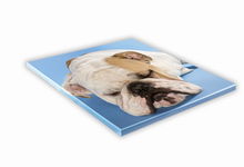 SZKLANA DESKA KUCHENNA 35x35 480g Buldog angielski
