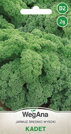 JARMUŻ KADET zielony nasiona średnio późny 2g