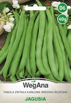 Fasola Szparagowa zielona Jagusia nasiona 40 g