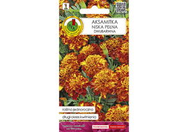 NASIONA AKSAMITKA PEŁNA NISKA DWUBARWNA 0,5G