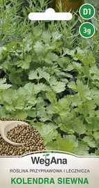 Nasiona kolendra Siewna 3 g WEGANA KOLENDRA