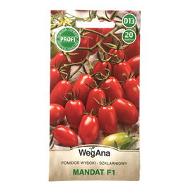 Pomidory szklarniowe Mandat F1 WegAna D13