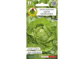 Sałata Masłowa Edyta nasiona PNOS Sałata Głowiasta Masłowa nasiona 1 g