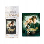Harry Potter - Puzzle 500 elementów w ozdobnym pudełku (Harry Potter i Komn