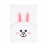 Line Friends Pluszowy Notes Notatnik A5 Króliczek