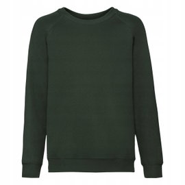 Bluza dziecięca przez głowę bez kaptura Raglan Butelkowa Zieleń r. 3-4 (104