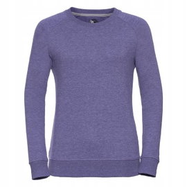 Damska bluza Raglan z długim rękawem Fioletowy r. S
