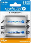 Akumulatorki D 5500 mAh Silver line (box 2 szt)