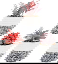 VIVERIE Zestaw Sztucznych Sukulentów w Doniczkach 3 Sztuki 8 x 12.5 cm